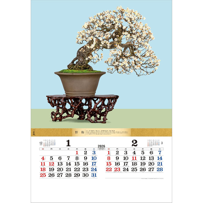 Todan 2026 Wall Calendar Bonsai 76.6 x 51.5cm TD-624