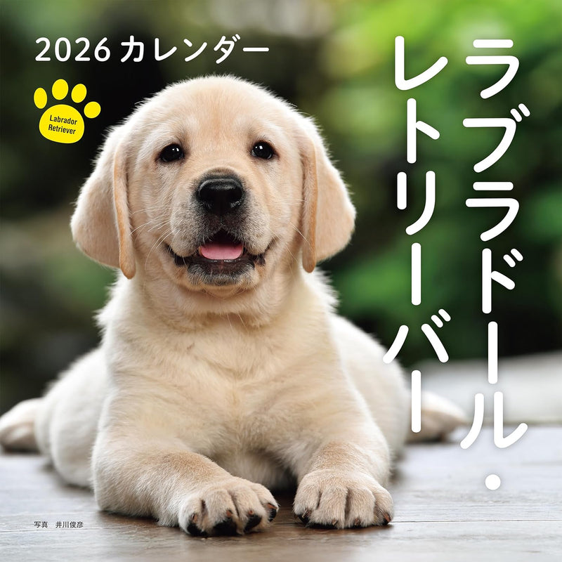 2026 Labrador Retriever Calendar (Seibundo-shinkosha Calendar)