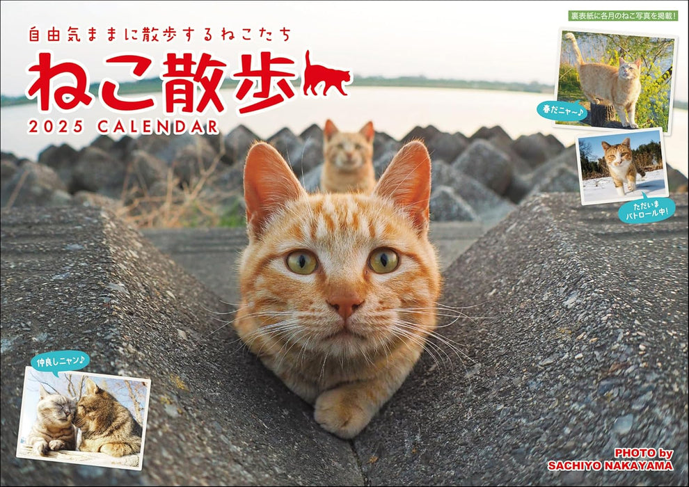 2025 Sachiyo Nakamura Cat Stroll Wall Calendar