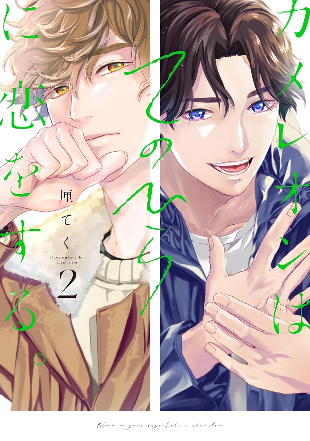 BL & Yaoi Manga – 