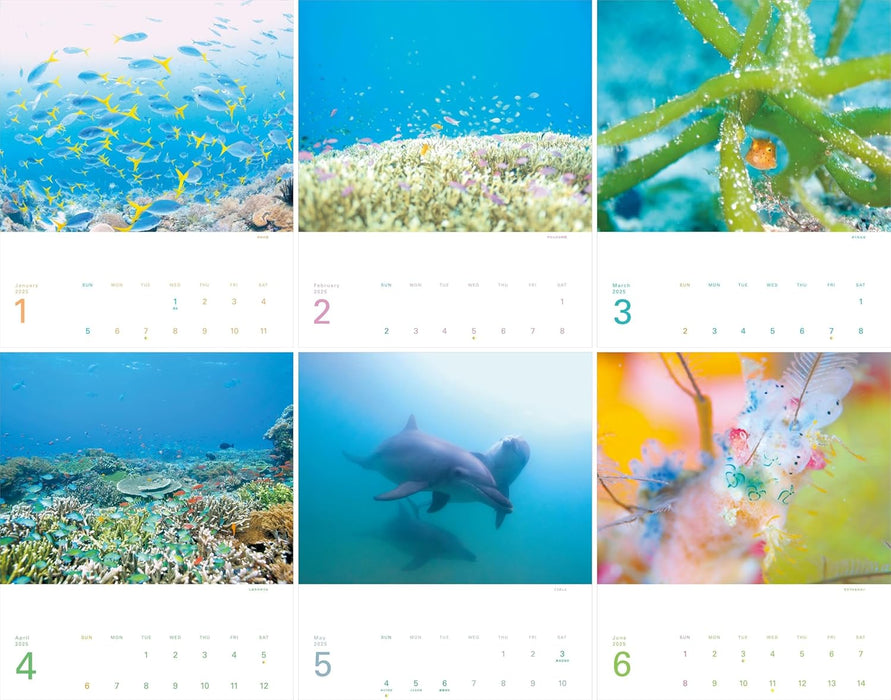 Calendar 2025 The Happiest Sea: The Most Beautiful Ocean in the World (Monthly/Wall Calendar) (Yama-kei Calendar 2025)