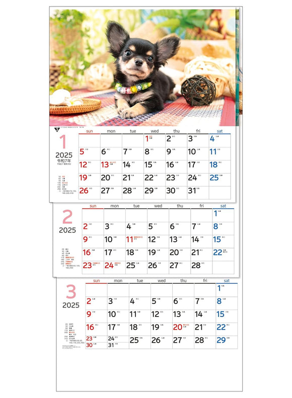 Todan 2025 Wall Calendar Wan Nyan 3-Month (From Top to Bottom Type / Perforated / Date Markers) 75 x 35cm TD-30775