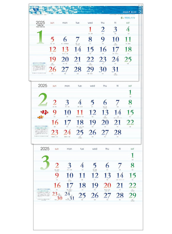 Todan 2025 Wall Calendar Aqua Blue 3-Month eco (From Top to Bottom Type / Perforated) 75 x 35cm TD-30788