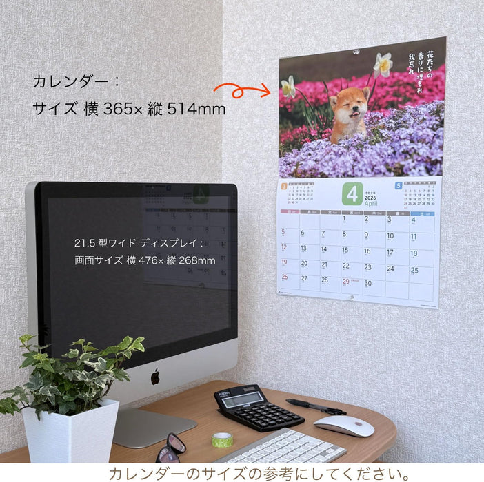 Active Corporation 2026 Wall Calendar Datte Shiba Damono. 26ACL-64