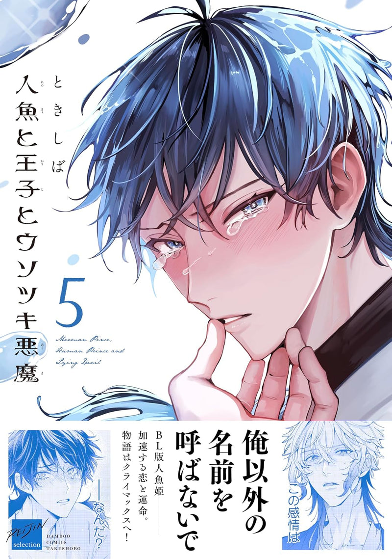 Ningyo to Ouji to Usotsuki Akuma 5