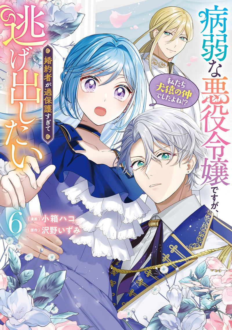 Byoujaku na Akuyaku Reijou desu ga, Konyakusha ga Kahogo sugite Nigedashitai (Watashi-tachi Kenen no Naka deshita yo ne!?) 6