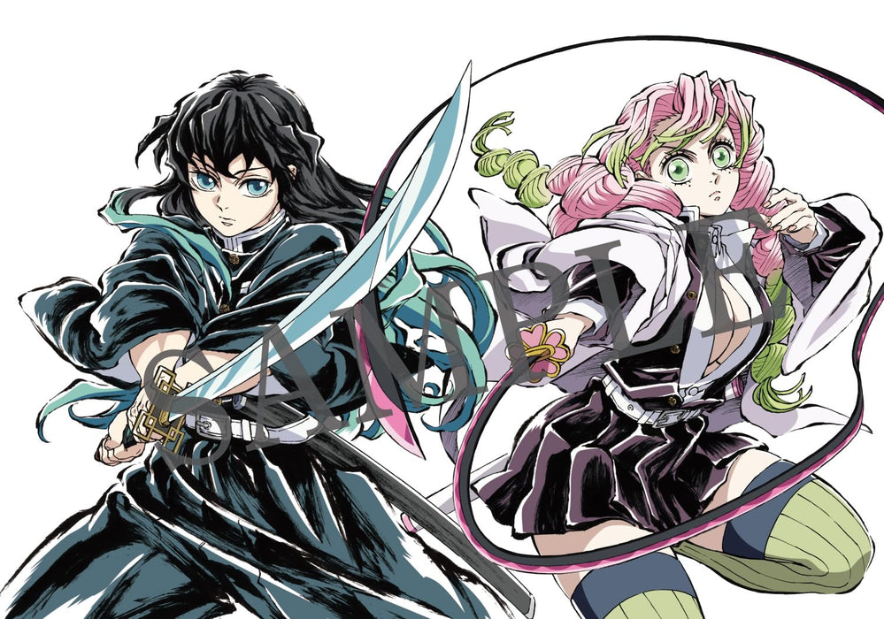 Anime 'Demon Slayer: Kimetsu no Yaiba' Illustration Record Collection 4
