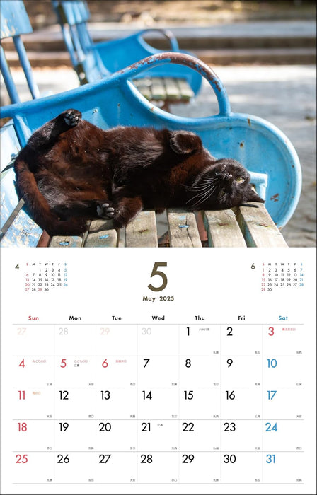 Black Cat Calendar 2025