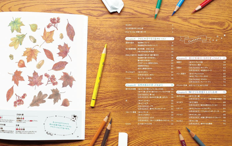 Color Pencil Mastery: Lesson Notebook on Effective Coloring & Layering Techniques with 8 Colors