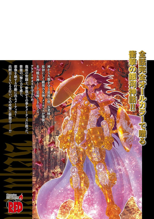 Saint Seiya Episode.G: Requiem 8