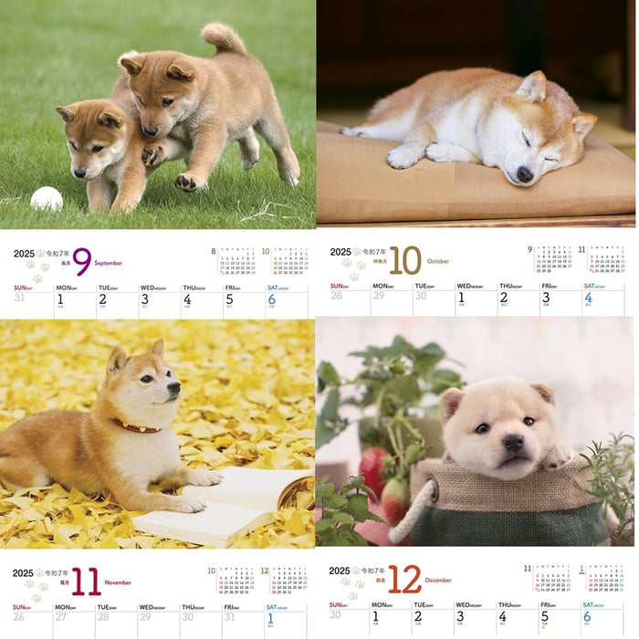 JTB Calendar Wanko 2025 Wall Calendar