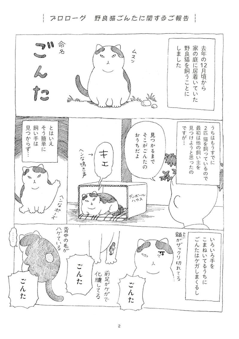 Noraneko Gonta, Ie Neko ni Naru