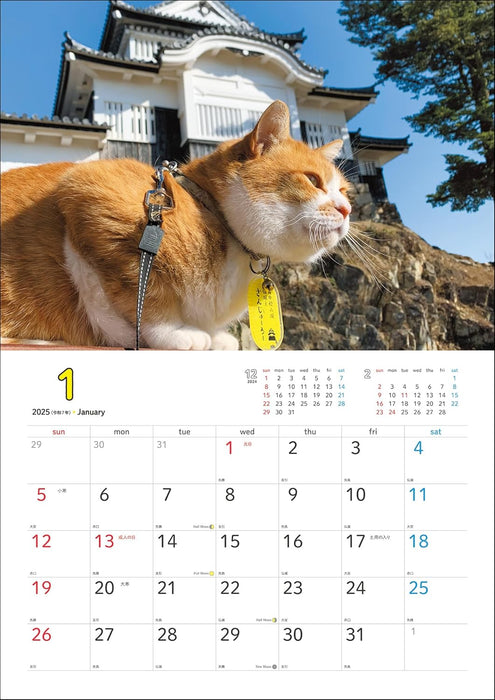 Sanjuro, Cat Lord of the Castle 2025 Calendar