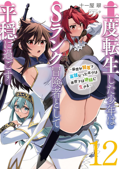 Nido Tensei Shita Shounen wa S Rank Boukensha Toshite Heion ni Sugosu 12 - Zense ga Kenja de Eiyuu Datta Boku wa Raisede wa Jimini Ikiru - (Light Novel)