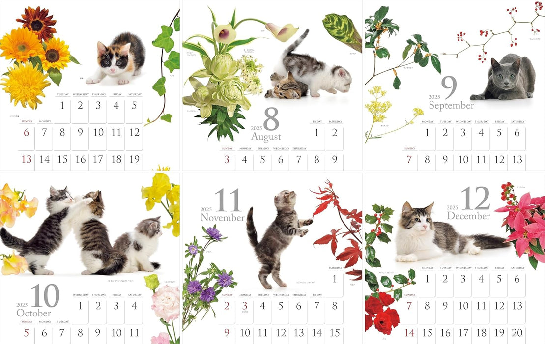 Calendar 2025 Cat and Flower Calendar (Monthly/Wall Calendar) (Yama-kei Calendar 2025)