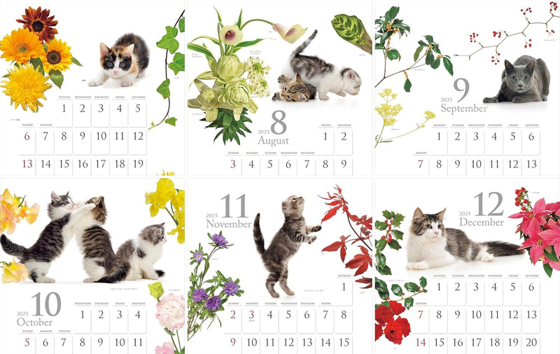 New Japan Calendar 2025 Wall Calendar 2 Month Schedule Memo Horizontal Type NK443