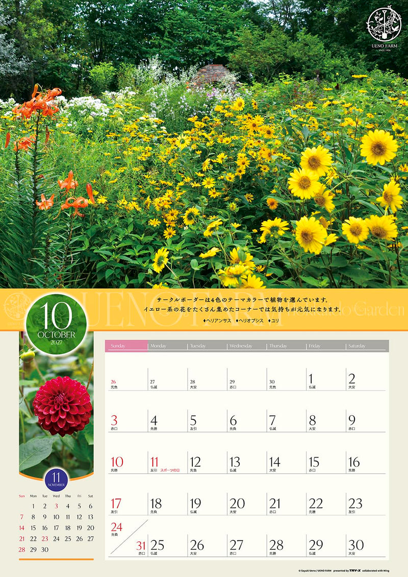 Try-X 2027 Wall Calendar Ueno Farm Hokkaido Garden 27CL-478 52x36cm
