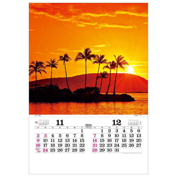 Todan 2025 Wall Calendar Marine Blue Tohan DX Film 75 x 50.4cm TD-527