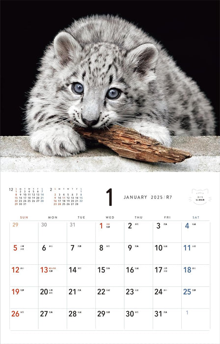 2025 Almost Cats Calendar