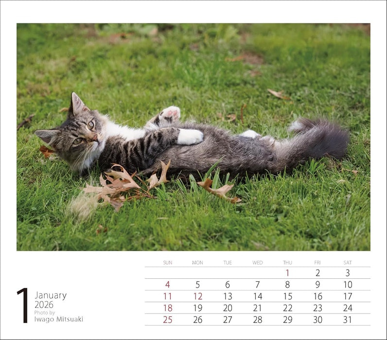 2026 Mini Calendar Mitsuaki Iwago Cats
