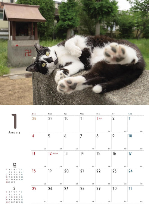 Street Corner Cats Calendar 2026 (Wall Calendar)