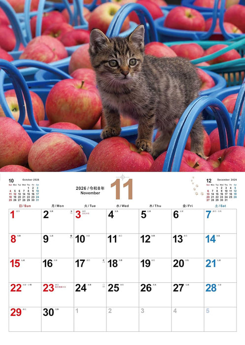 Koneko no Sekai 2026 Kitten Calendar S17