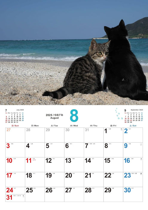 Koneko no Sekai 2025 Kitten Calendar S17