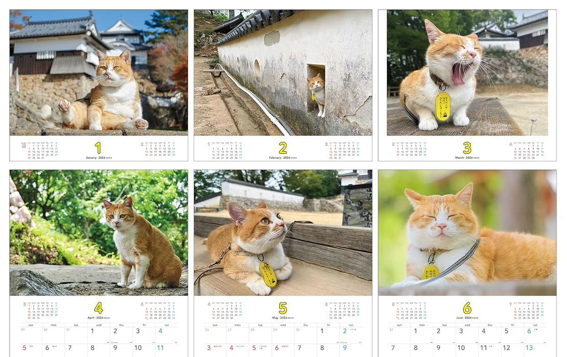 Sanjuro, Cat Lord of the Castle 2026 Calendar