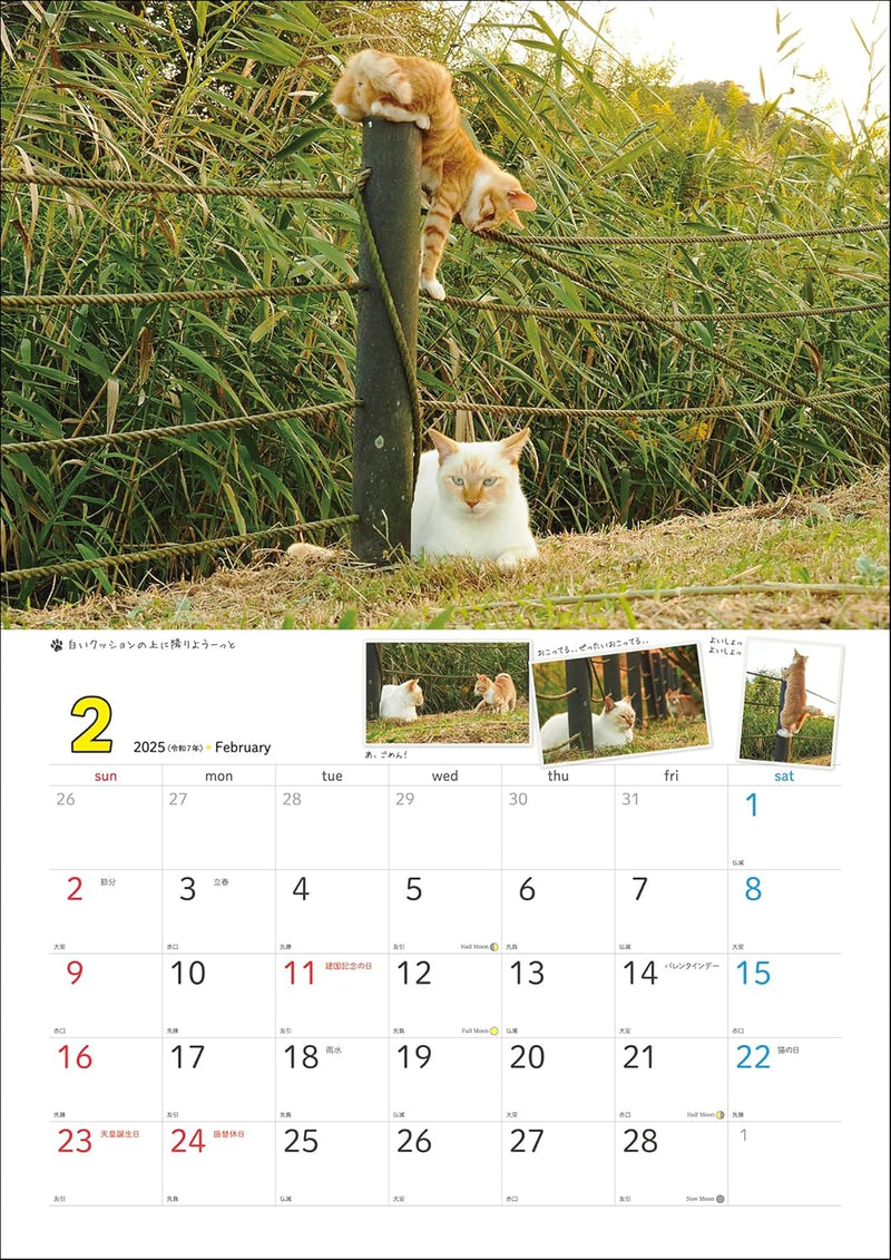 2025 Sachiyo Nakamura Cat Stroll Wall Calendar