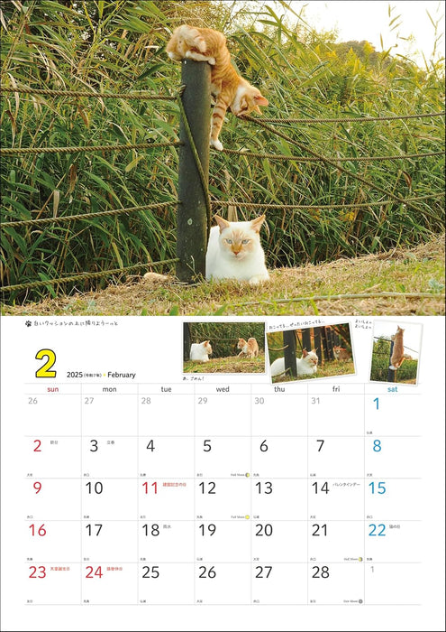 2025 Sachiyo Nakamura Cat Stroll Wall Calendar