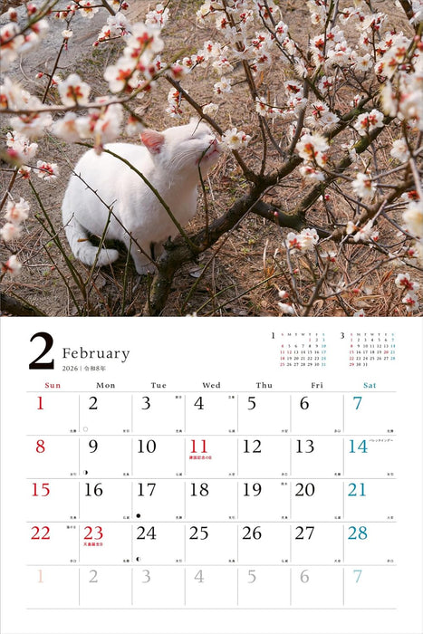 Relaxing Island Cat Journey 2026 Calendar