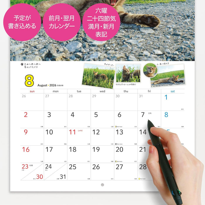 Sachiyo Nakamura Cat Stroll 2026 Wall Calendar
