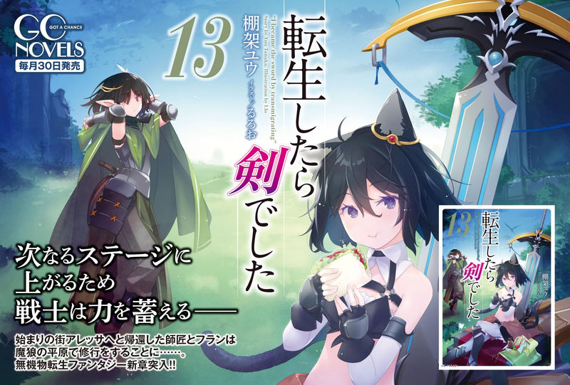 Reincarnated as a Sword (Tensei Shitara Ken Deshita) 13 (Light Novel)