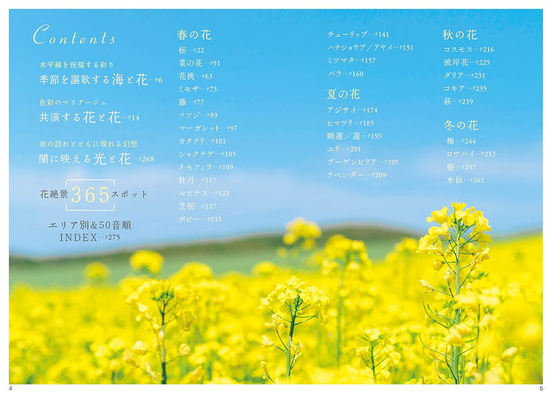Beautiful Japan: A Journey to Breathtaking Flower Landscapes
