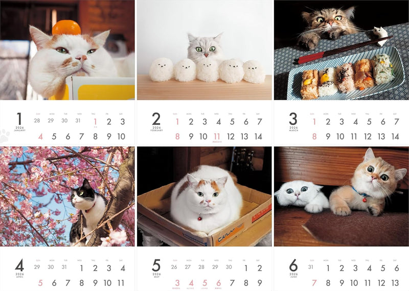 2026 MARCO's CAT CALENDAR Comical! (Yama-kei Calendar 2026)