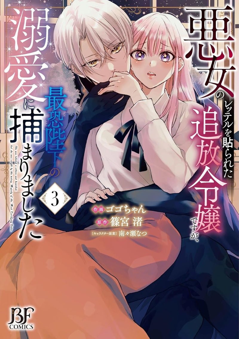 Akujo no Retteru wo Harareta Tsuihou Reijou desu ga, Saikyou Heika no Dekiai ni Tsukamarimashita 3