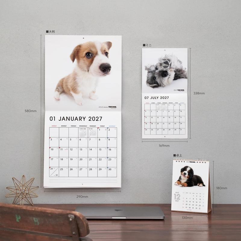 THE HAMSTER 2027 Desk Calendar [Hamster]