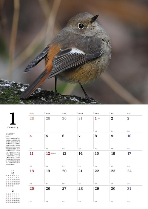 Common Wild Birds Calendar 2026 (Wall Hanging)