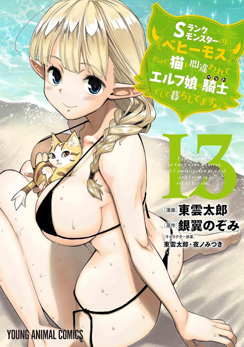 I am Behemoth of The S Rank Monster, But I am Mistaken as a Cat And I Live as a Pet of Elf Girl 13