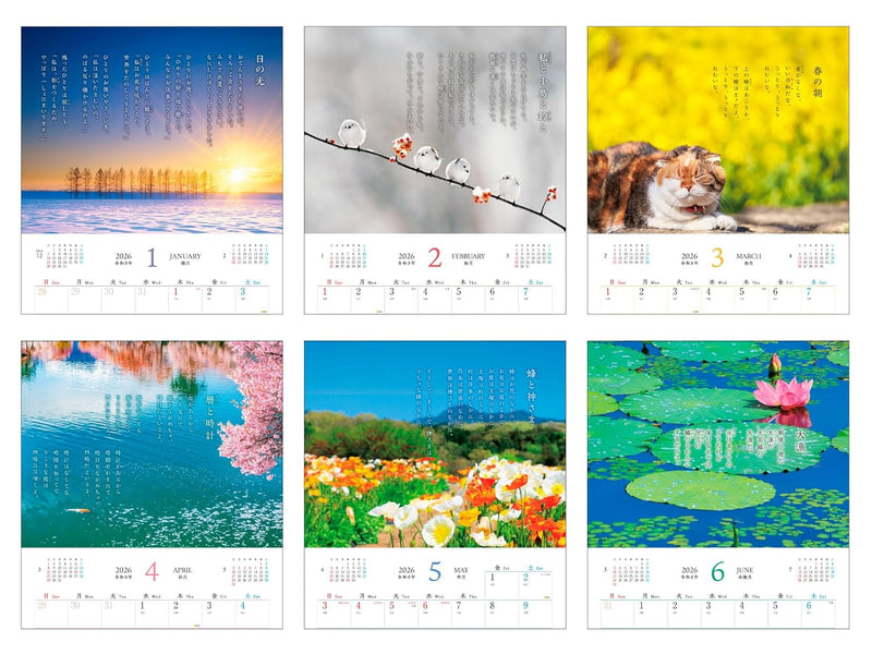Calendar 2026 Misuzu Kaneko CALENDAR (Monthly/Wall Calendar) (Impress Calendar 2026)