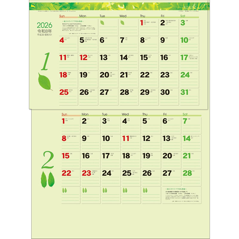 Todan 2026 Wall Calendar Green 2-Month eco (Perforated 15 Months / Date Markers) 53.5 x 38cm TD-30944