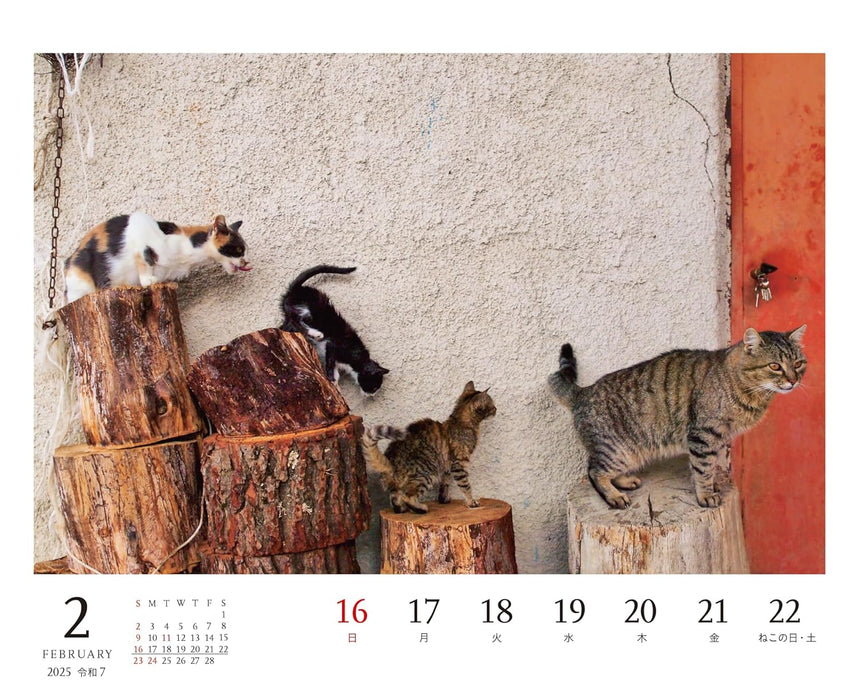 Mitsuaki Iwago Cat Desk Weekly Tear-Off Calendar 2025