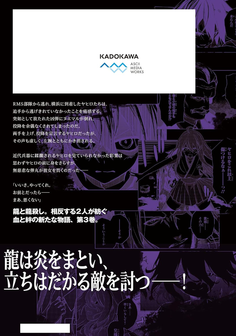 Hollow Regalia (Utsuro Naru Regalia) 3