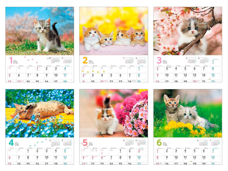 Calendar 2025 Mofu Mofu Koneko (Monthly/Wall Calendar) (Impress Calendar 2025)