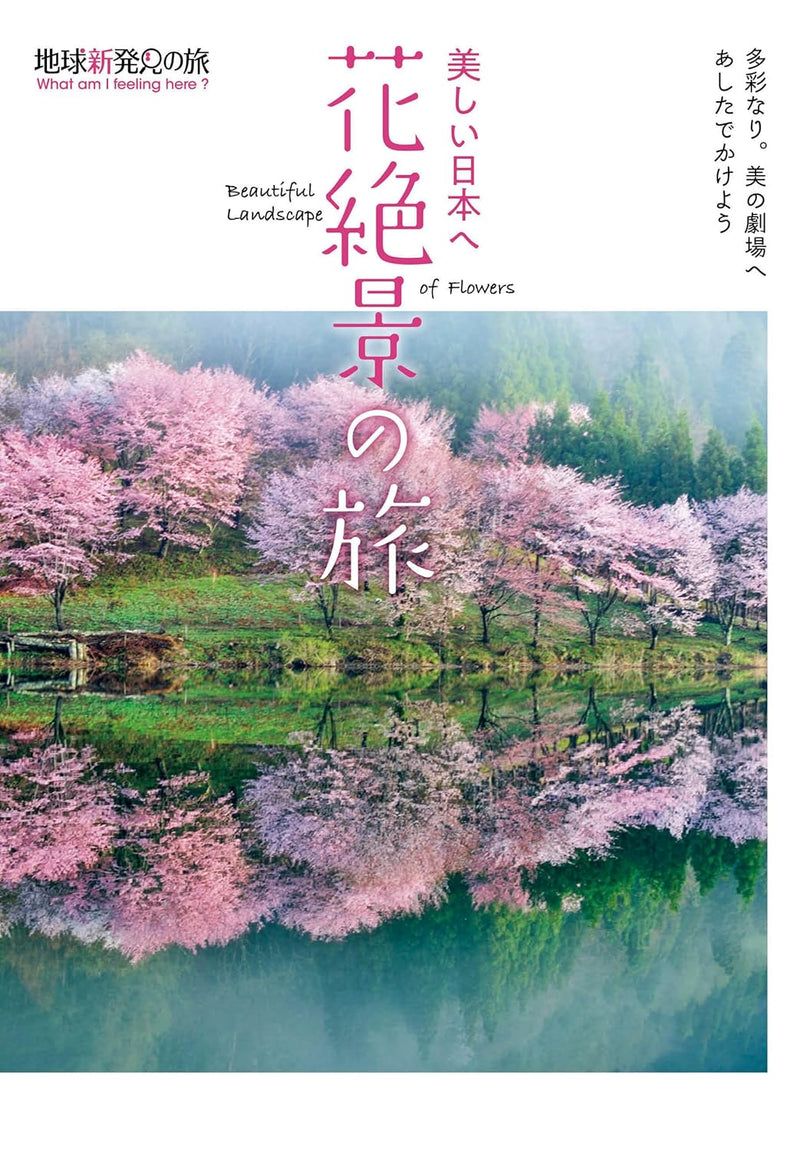 Beautiful Japan: A Journey to Breathtaking Flower Landscapes