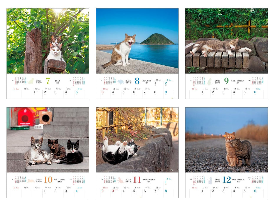 Calendar 2025 Soto Neko (Monthly/Wall Calendar) (Impress Calendar 2025)