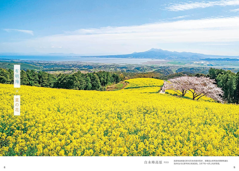 Beautiful Japan: A Journey to Breathtaking Flower Landscapes