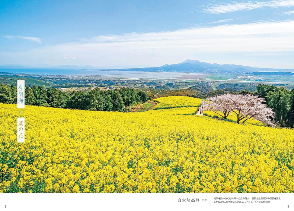 Beautiful Japan: A Journey to Breathtaking Flower Landscapes