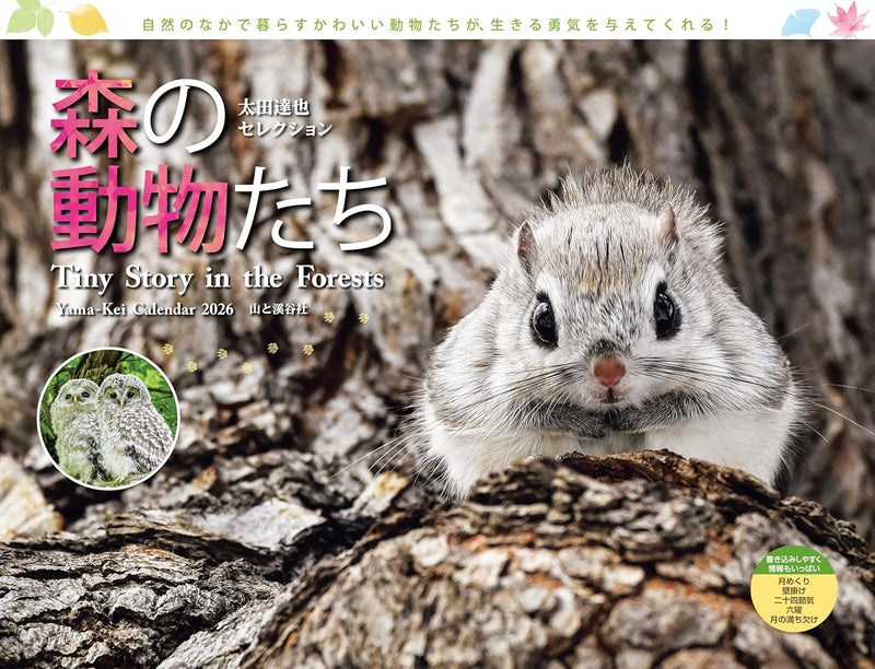 Calendar 2026 Tatsuya Ota Selection Tiny Story in the Forests (Monthly/Wall Caledar) (Yama-Kei Calendar 2026)