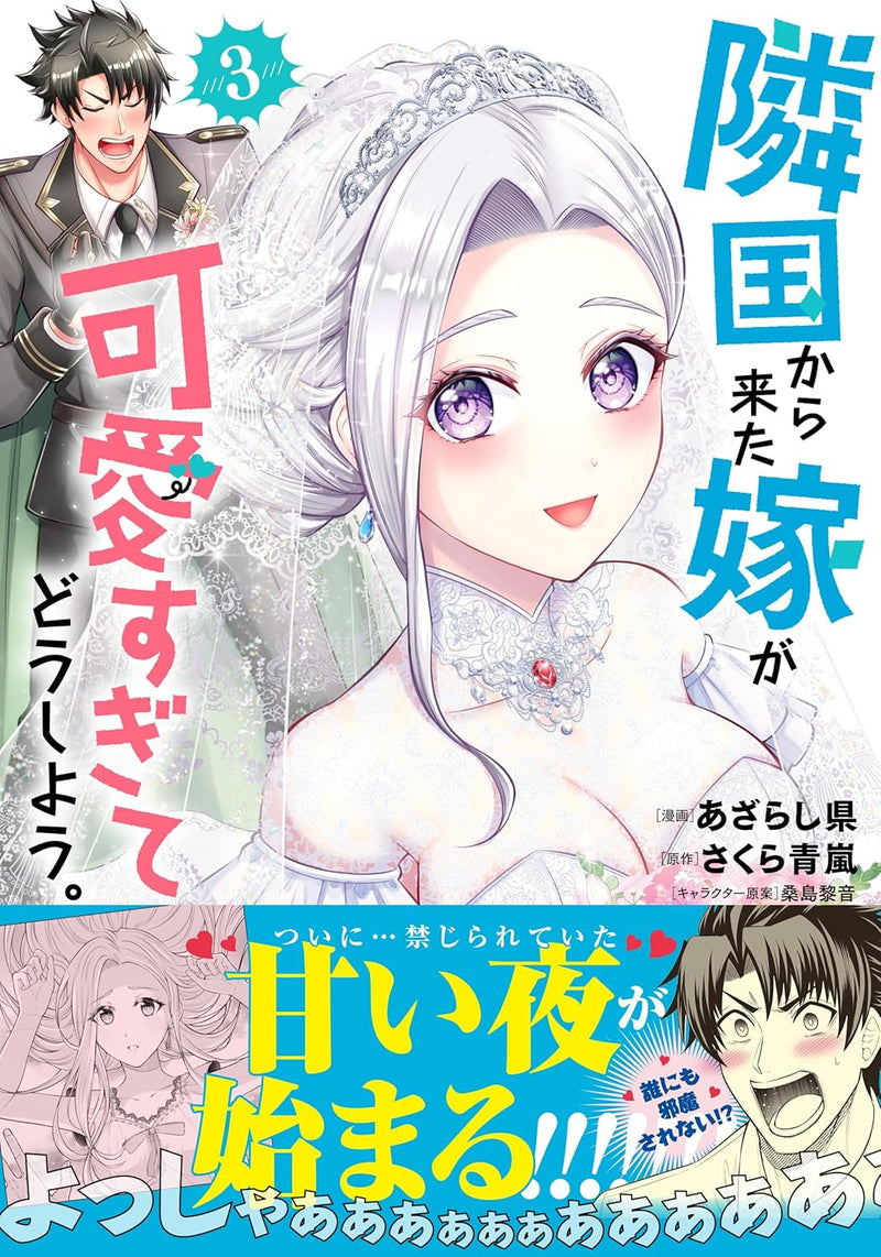 Ringoku Kara Kita Yome ga Kawai Sugite dou shiyou. 3